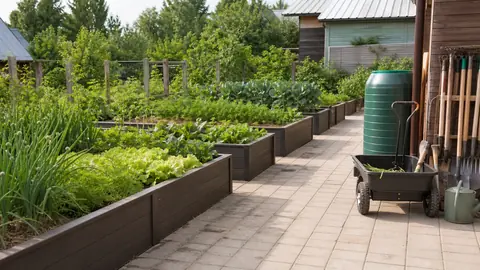 Огород без боли в спине: как организовать грядки и работы, чтобы не сорвать поясницу