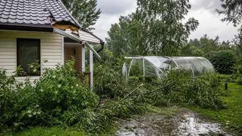 Ураган повредил дачный дом: что проверить после непогоды